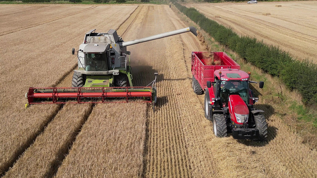 4K Drone Footage of Harvest